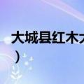 大城县红木大集开集时间（大城红木大集时间）