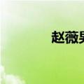 赵薇男友王励勤（赵薇男友）