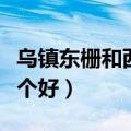 乌镇东栅和西栅距离多远（乌镇东栅和西栅哪个好）