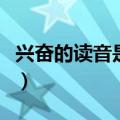兴奋的读音是兴奋还是兴奋（兴奋读音是什么）