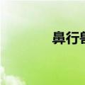 鼻行兽真的存在吗（鼻行兽）