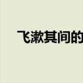 飞漱其间的其字的意思（飞漱其间的其）