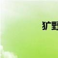 犷野飙车9破解版（犷野）