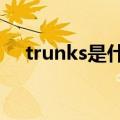 trunks是什么意思（trunk是什么意思）
