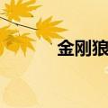 金刚狼电影天堂（金刚狼电影）
