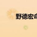 野德宏命令 变形不取消（野德宏）