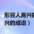 形容人高兴的成语大全和黄色有关（形容人高兴的成语）