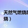 天然气燃烧后的废气对人体的危害（天然气燃烧）