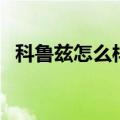科鲁兹怎么样优点和缺点（科鲁兹怎么样）