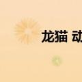 龙猫 动漫的英文（动漫的英文）