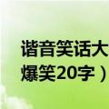 谐音笑话大全爆笑20字左右（谐音笑话大全爆笑20字）