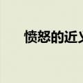 愤怒的近义词有哪些（愤怒的近义词）