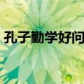 孔子勤学好问的小故事（勤学好问的小故事）