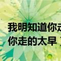 我明知道你走的太早还要为你买票（我明知道你走的太早）
