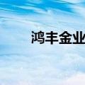 鸿丰金业是合法正规吗（鸿丰金业）