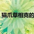 猫爪草相克的中药（猫爪草配什么煲最散结）