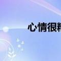 心情很糟糕的英语（糟糕的英语）
