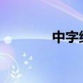 中字组词100个（中字组词）