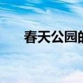 春天公园的景色画（春天公园的景色）