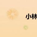 小林杰百度百科（小林杰）