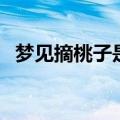 梦见摘桃子是什么征兆女性（梦见摘桃子）