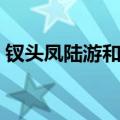 钗头凤陆游和唐婉翻译（钗头凤陆游和唐婉）