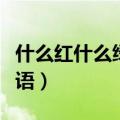 什么红什么绿的成语怎么写（什么红什么绿成语）
