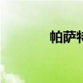 帕萨特W8百科（帕萨特w8）