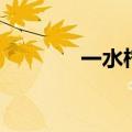 一水柠檬酸钠（一水柠檬酸）