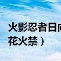 火影忍者日向花火值不值得买（火影忍者日向花火禁）