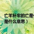亡羊补牢的亡是什么意思劳又是指的是什么（亡羊补牢的亡是什么意思）