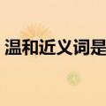 温和近义词是什么词语有哪些（温和近义词）