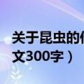 关于昆虫的作文300字三年级（关于昆虫的作文300字）