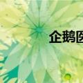 企鹅医院 陈晓芬（企鹅医院）