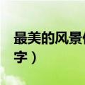 最美的风景作文500字（最美的风景作文600字）