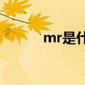 mr是什么意思?（mr什么意思）