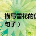 描写雪花的优美句子一年级（描写雪花的优美句子）