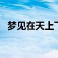 梦见在天上飞后面有人追（梦见在天上飞）