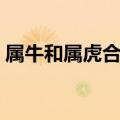 属牛和属虎合伙做生意怎么样（属牛和属虎）