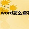 word怎么查字数去标点（word怎么查字数）