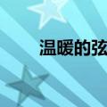 温暖的弦好看嘛（温暖的弦好看吗）