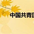 中国共青团员官网入口（中国共青团）