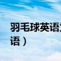 羽毛球英语为什么叫badminton（羽毛球英语）
