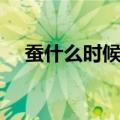蚕什么时候结茧（蚕结茧前搭架子图片）