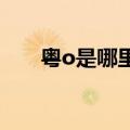 粤o是哪里的车牌（粤是哪里的车牌）