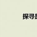 探寻是词语吗（探寻的意思）