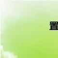 置顶怎么设置（置顶）