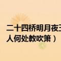 二十四桥明月夜玉人何处教吹笛在哪里（二十四桥明月夜 玉人何处教吹箫）