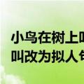 小鸟在树上叫改为拟人句怎么改（小鸟在树上叫改为拟人句）