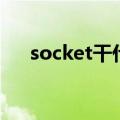 socket干什么用的（socket什么意思）